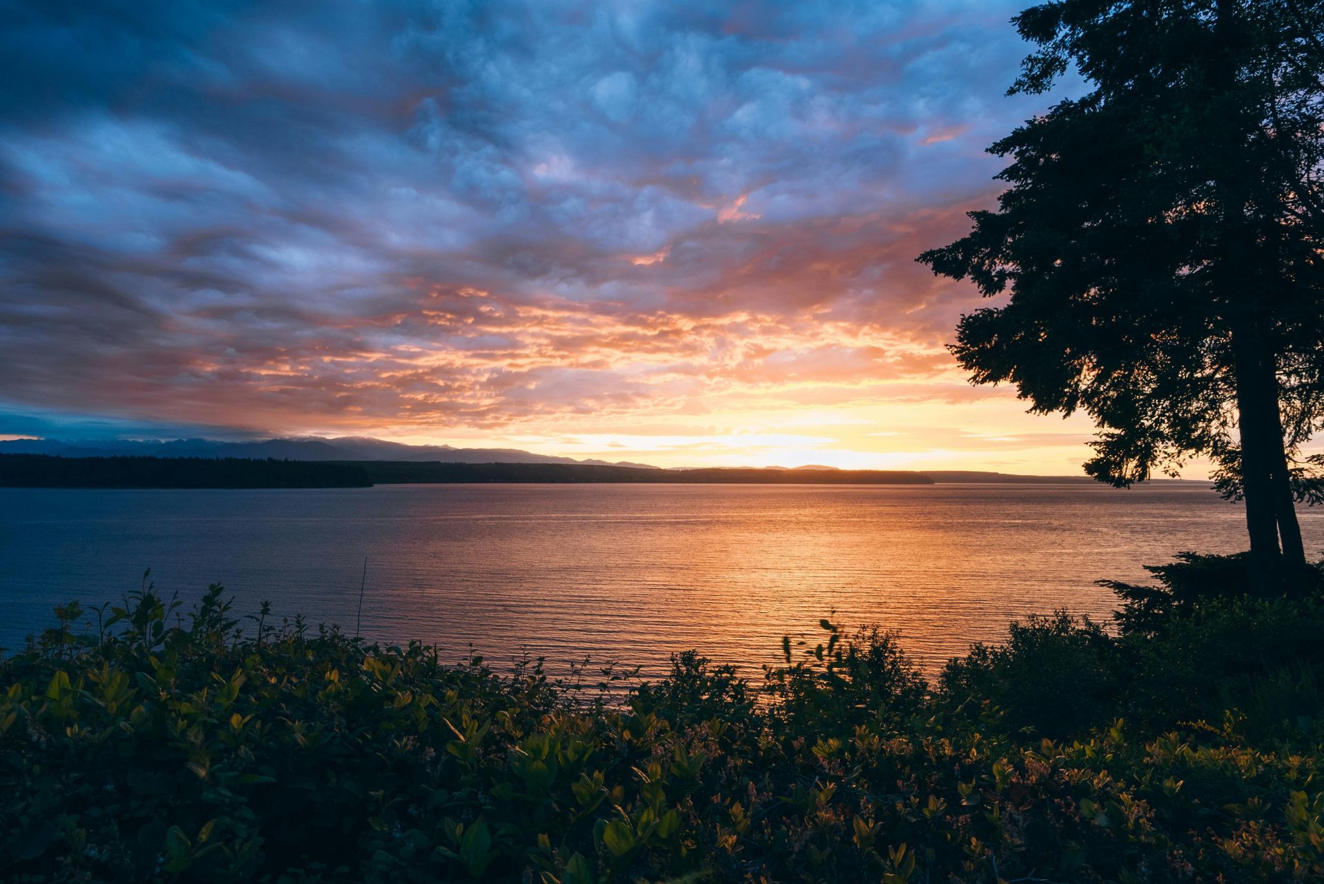 Beautiful sunset view over Seattle's waterfront with vibrant colors and a tranquil tree silhouette.